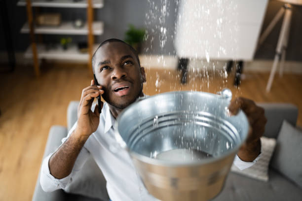 Best Flood damage cleanup  in Covington, WA