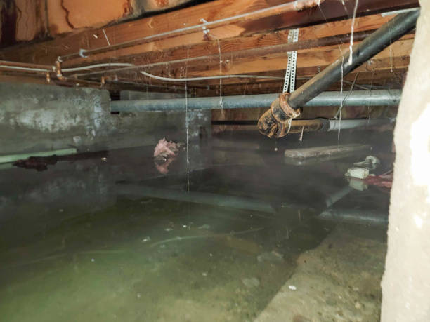 Best Residential water damage restoration  in Covington, WA