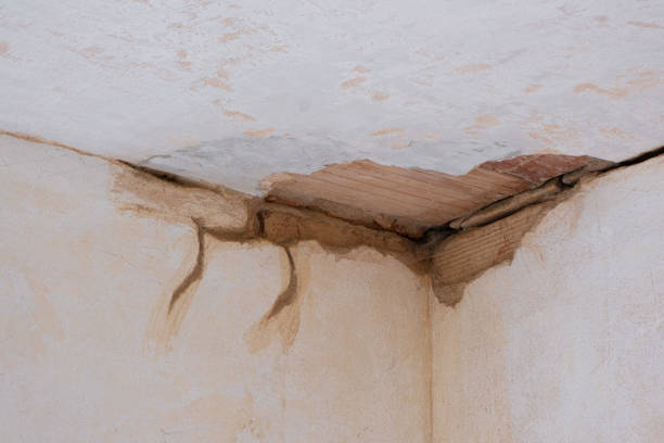 Best Water damage restoration near me  in Covington, WA