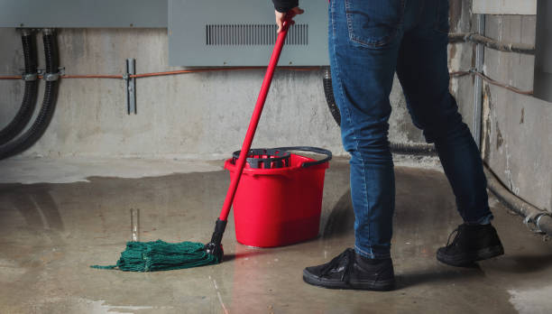 Best Carpet water damage restoration  in Covington, WA