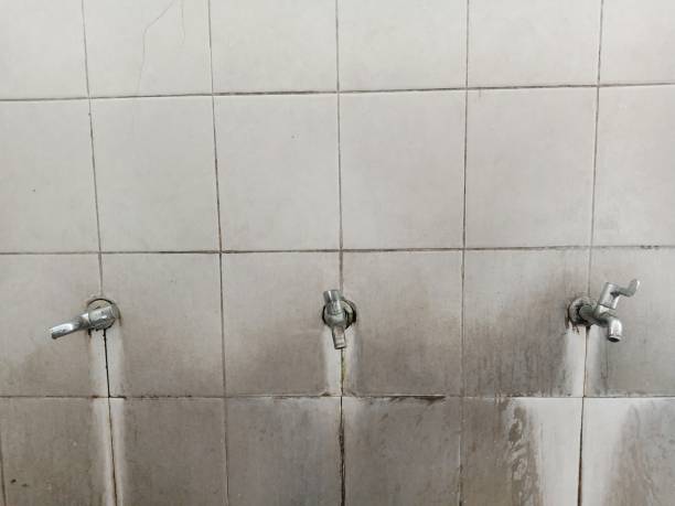 Best Fire Damage Restoration  in Covington, WA