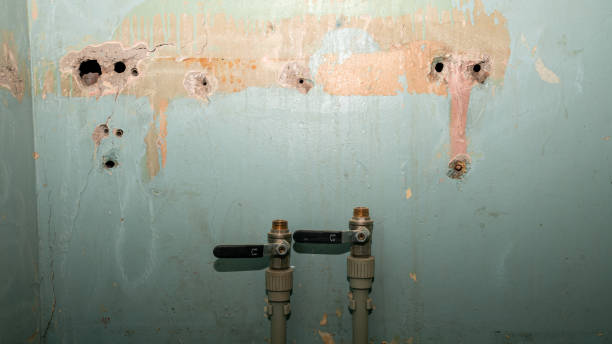 Professional Water damage restoration in Covington, WA