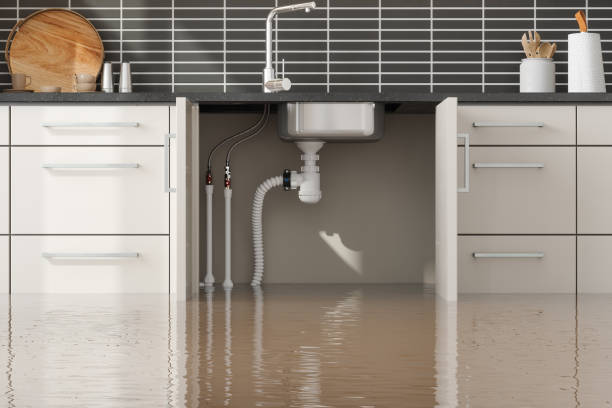 Best Water damage cleanup near me  in Covington, WA
